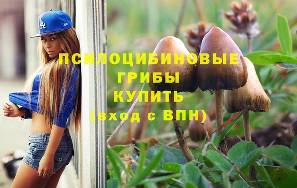 мяу мяу кристалл Лабытнанги