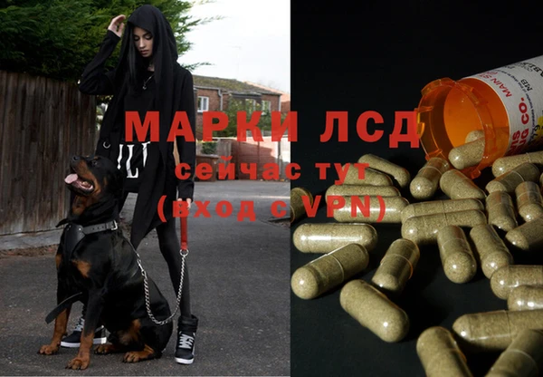 мяу мяу кристалл Лабытнанги