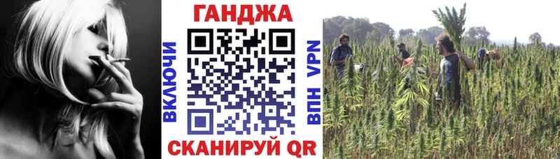 Бошки Шишки ГИДРОПОН  Купить закладки  Малгобек 